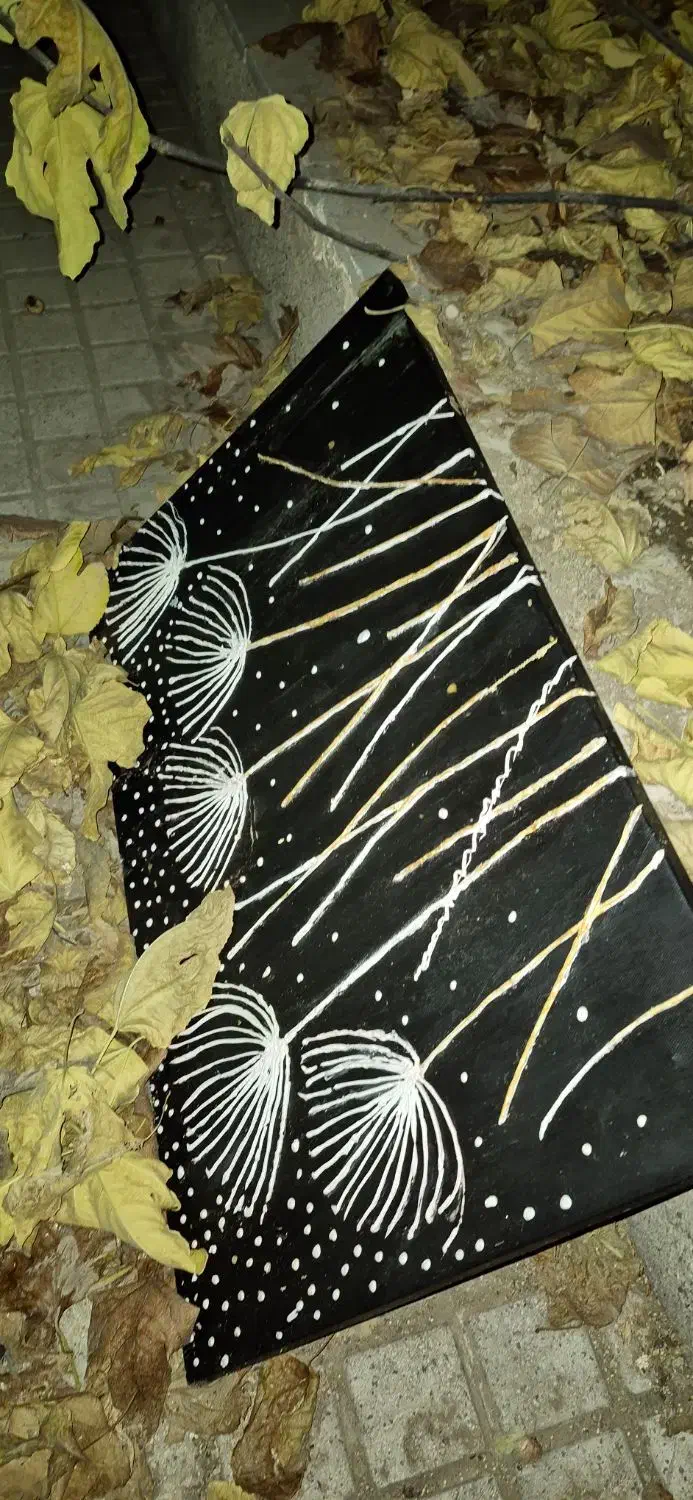 تابلو عکس دست ساز بسیار زیبا|تابلو، نقاشی، عکس|تهران, شهرک پرواز|دیوار