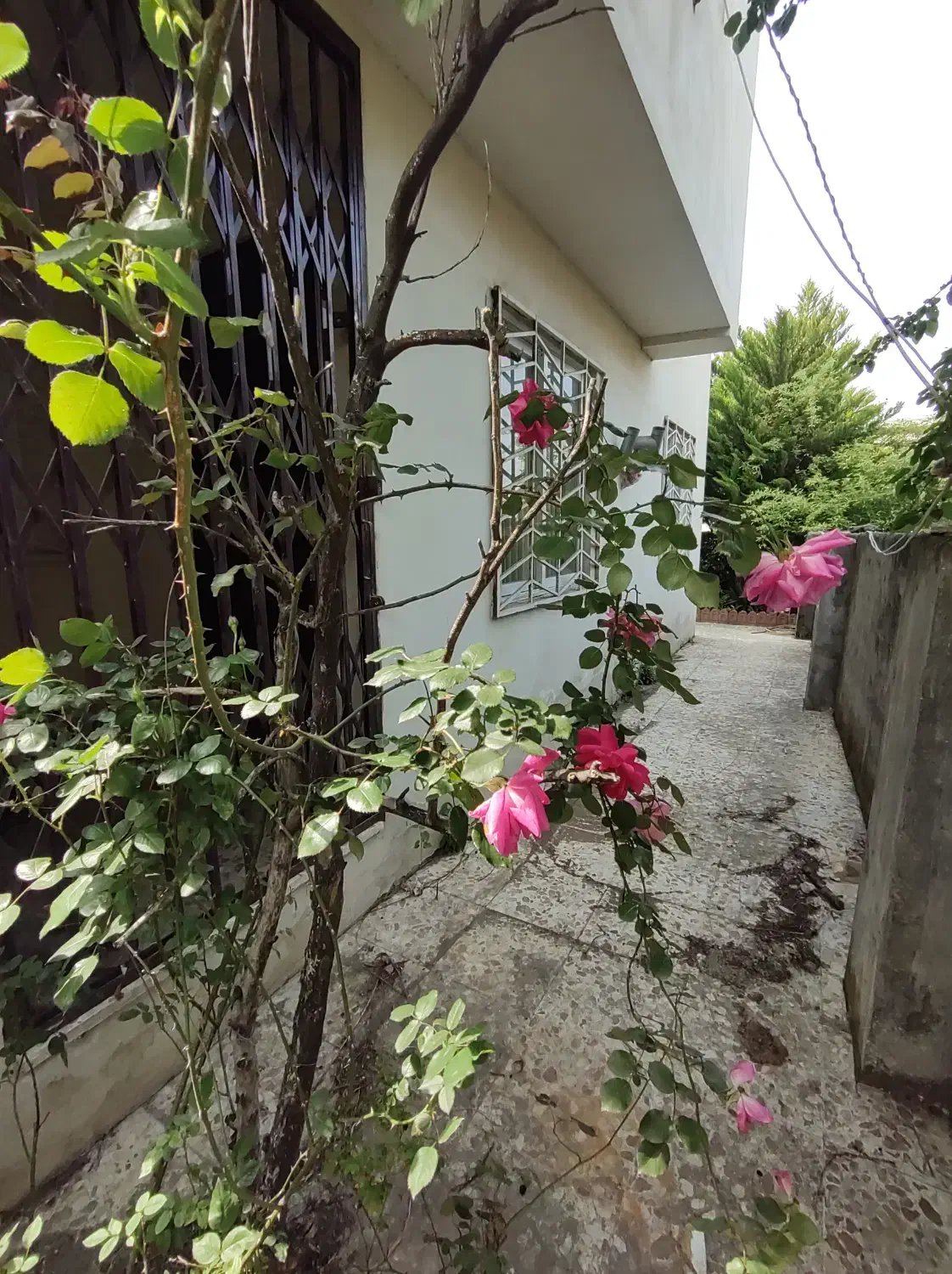 82متر ۲خواب فول امکانات در هچیرود نزدیک نمک آبرود|فروش آپارتمان|هچیرود, |دیوار