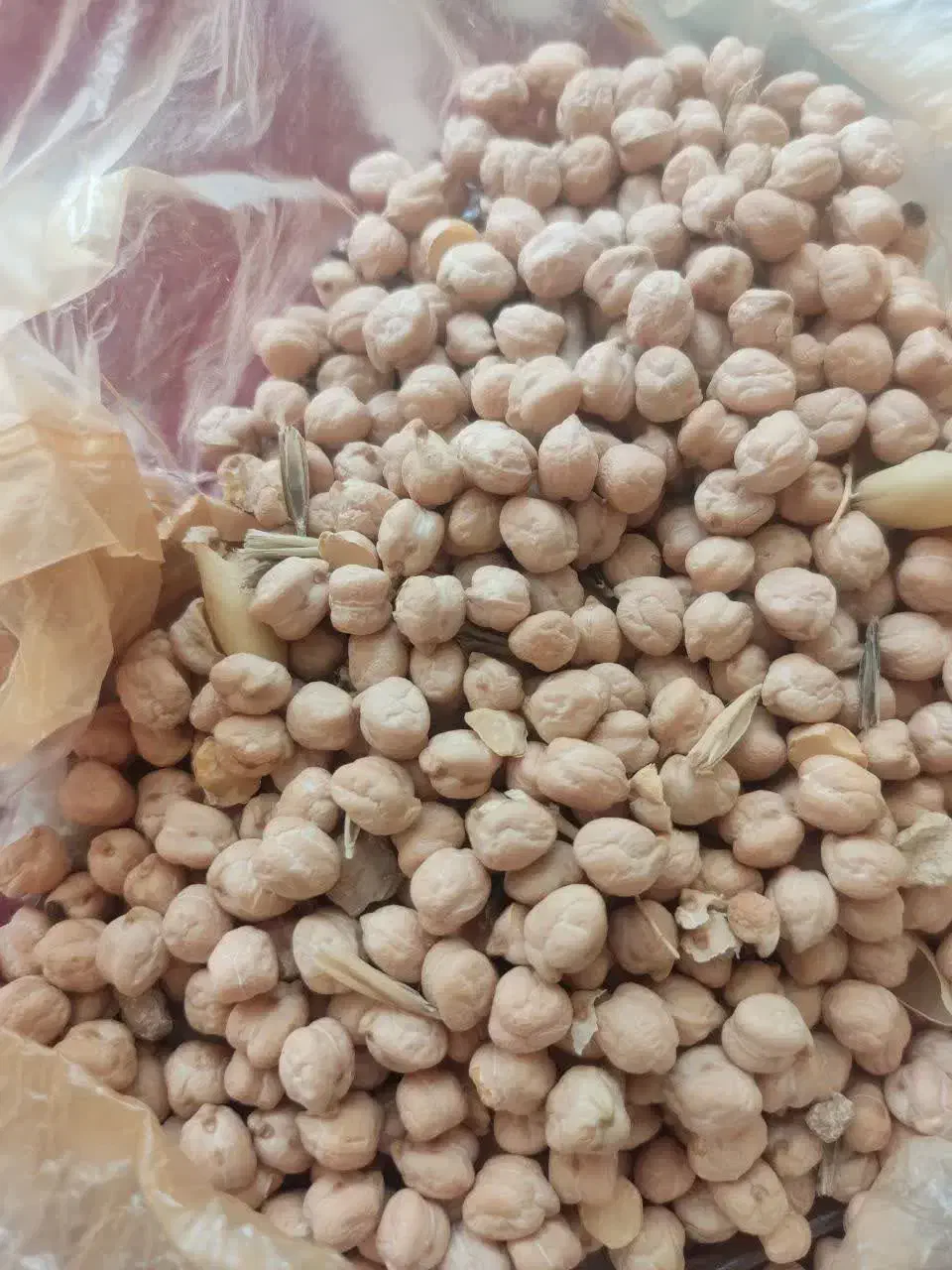 نخود فروشی|عمده‌فروشی|کنگاور, |دیوار