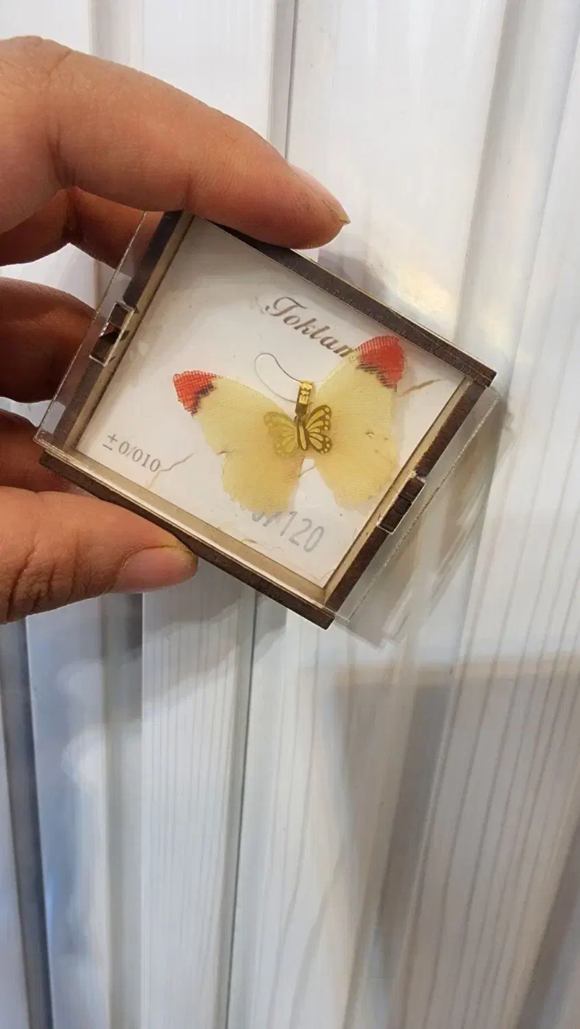 طلای مینیمال|جواهرات|فسا, |دیوار