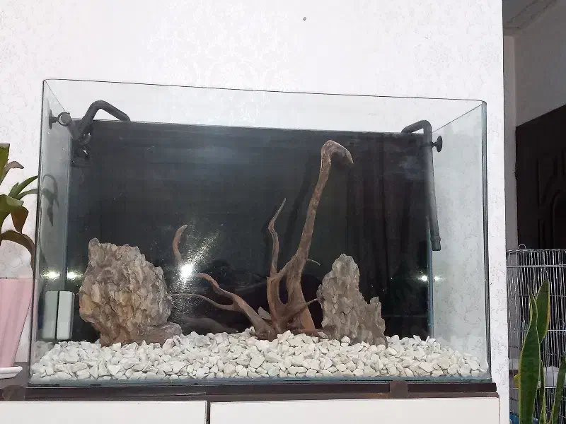 کمد دراور|جاکفشی، کمد، دراور|اردبیل, |دیوار