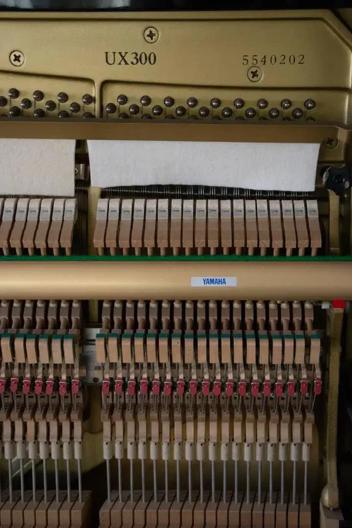 تمام برندهاموجودیاماهاکاوایی سمیک هافمن فالکن قسطی|پیانو، کیبورد، آکاردئون|اصفهان, عباسآباد|دیوار