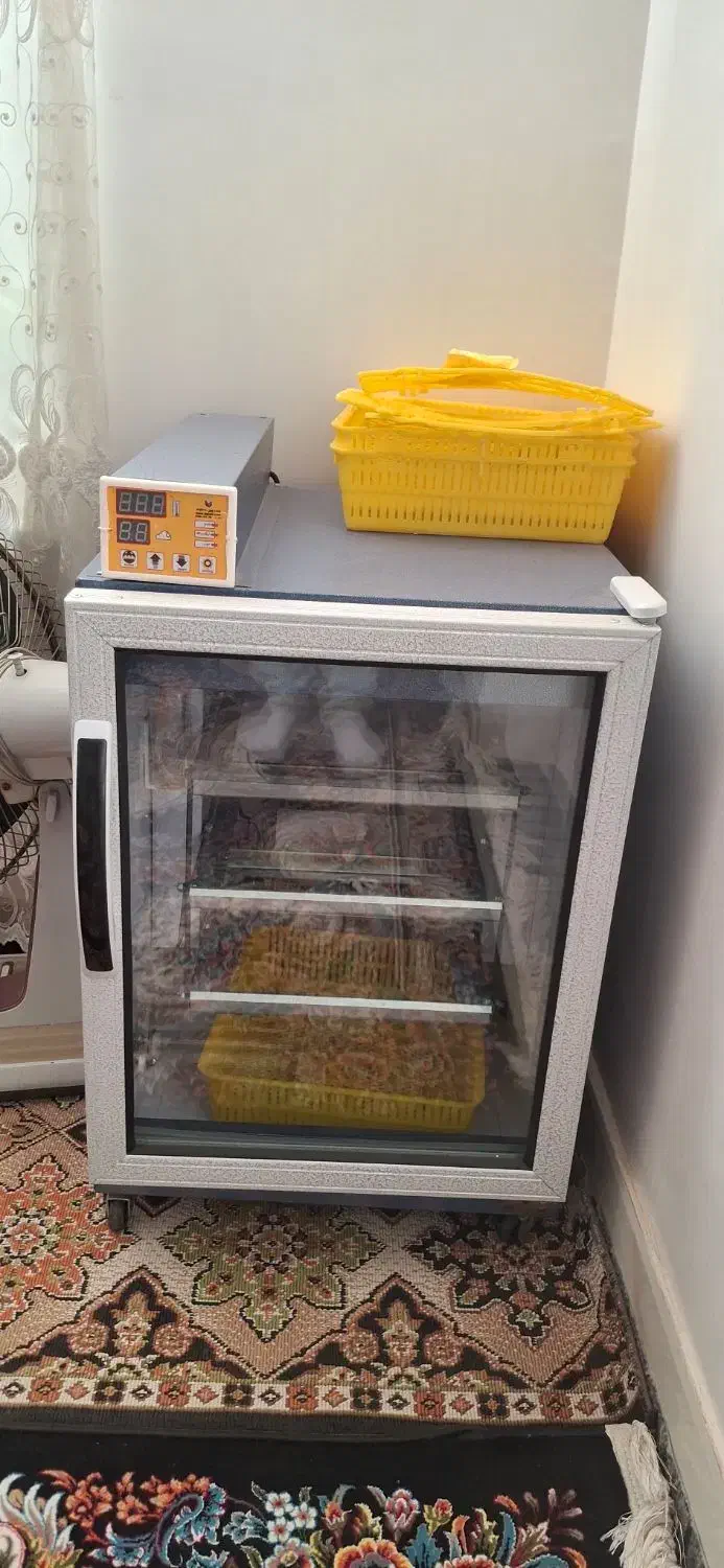 دستگاه جوجه کشی|حیوانات مزرعه|گرگان, |دیوار