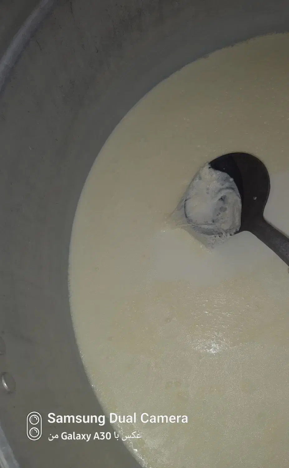 شیر|خوردنی و آشامیدنی|شباب, |دیوار