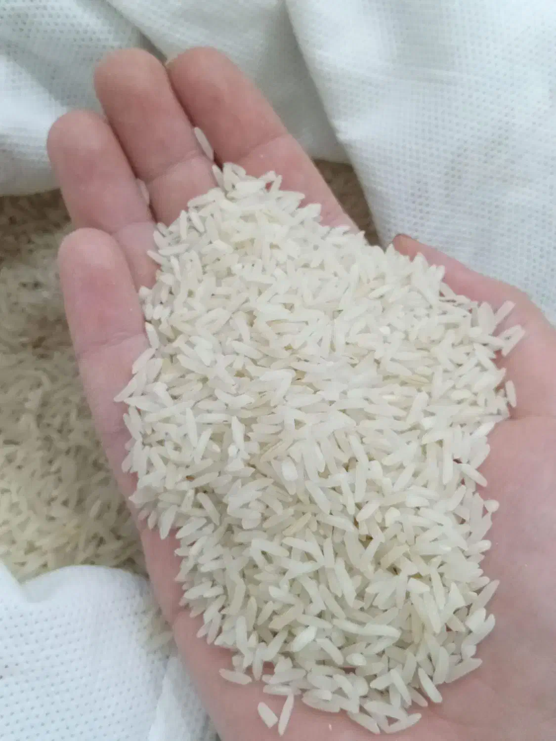 برنج محلی شمال|خوردنی و آشامیدنی|اسلامآباد غرب, |دیوار