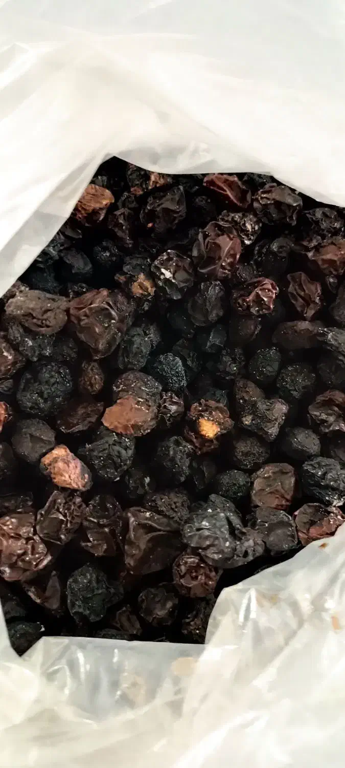 آلوچه|خوردنی و آشامیدنی|نجف‌آباد, جعفرآباد|دیوار