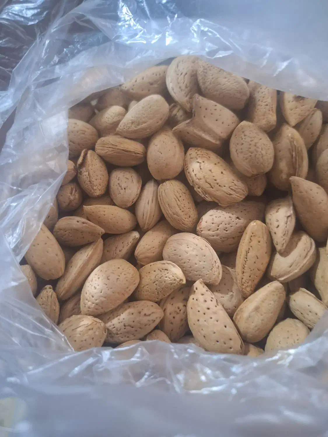 بادام سنگی|خوردنی و آشامیدنی|شیراز, نصر|دیوار
