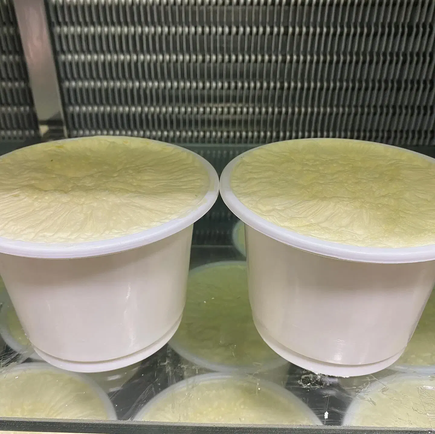 پخش عمده لبنیات|خوردنی و آشامیدنی|تهران, جوادیه تهرانپارس|دیوار