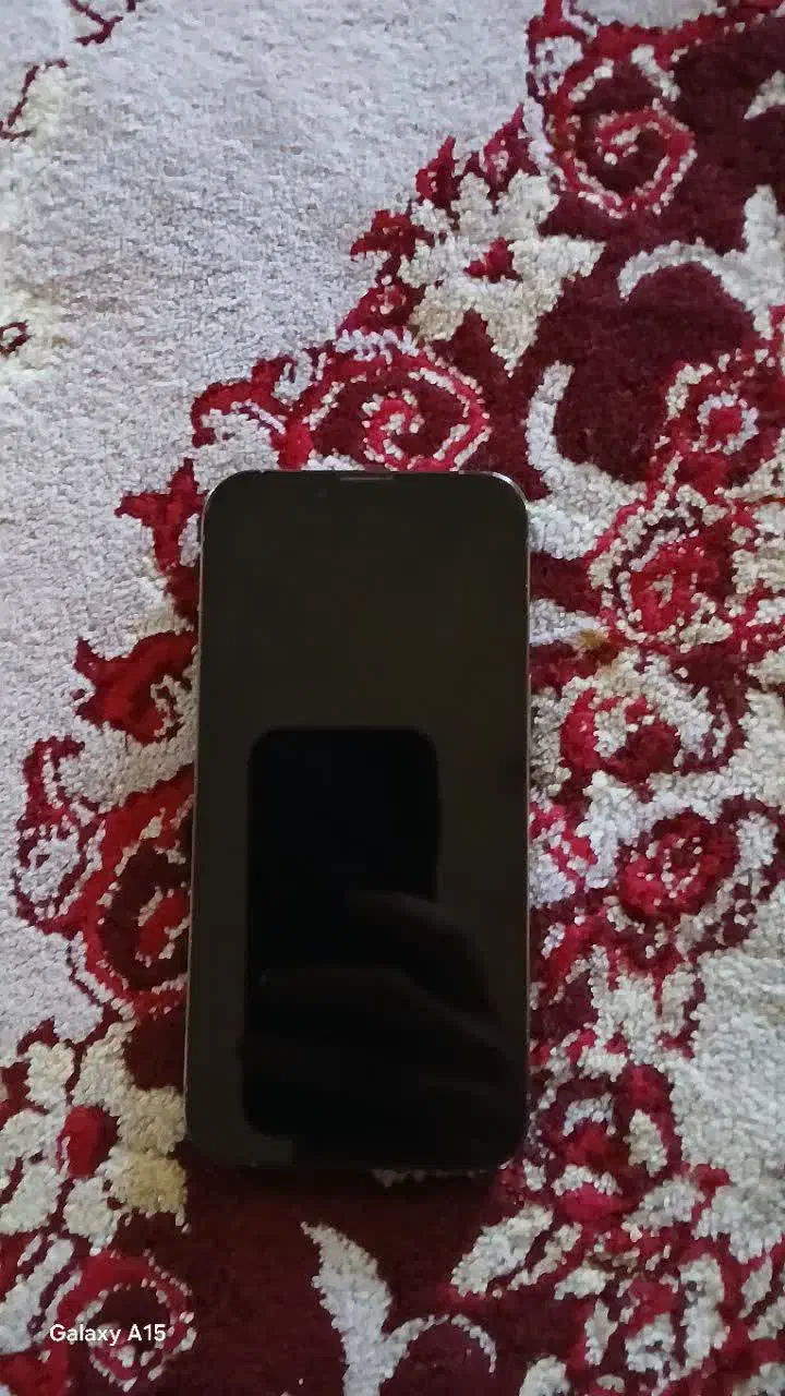 ایفون ۱۳ پروzaa|موبایل|مشهد, مصلی (کارمندان اول)|دیوار