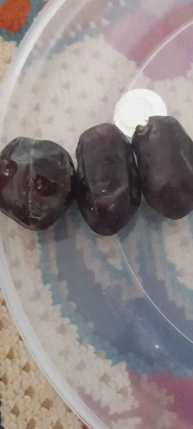 خرما دوردیفه|خوردنی و آشامیدنی|بم, |دیوار