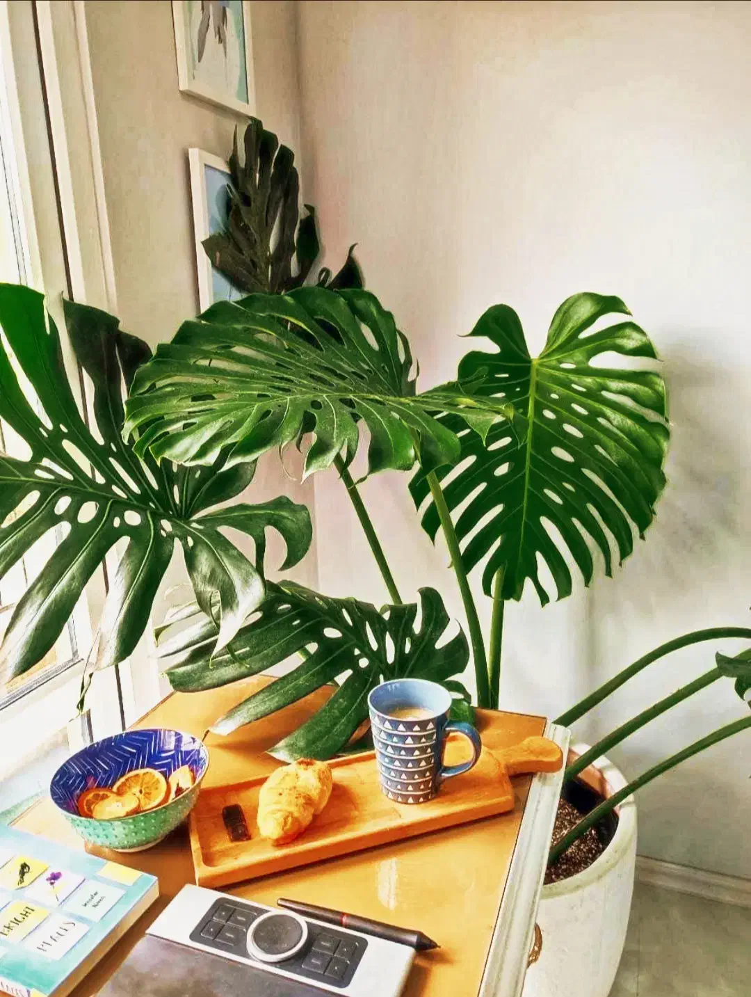 140 متــر/ حاشیه دانشجــو / 8 واحـدی/ عکس واقعــی|فروش آپارتمان|مشهد, دانشجو|دیوار