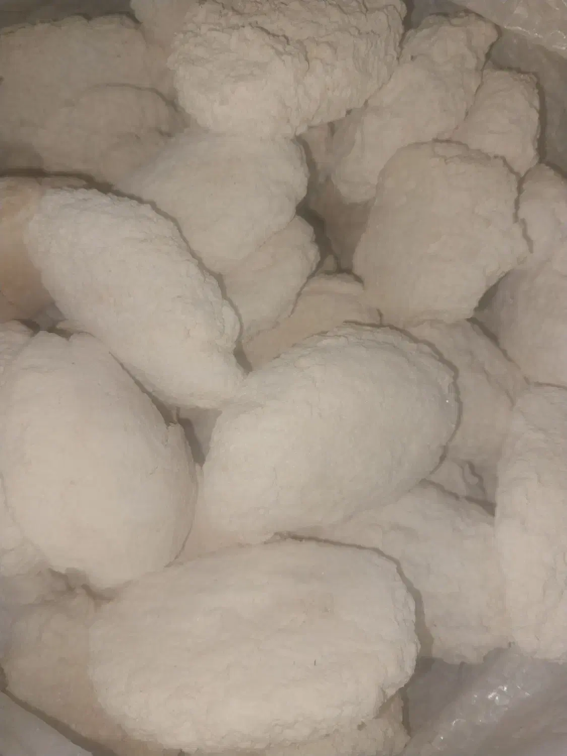 کشک گاو بهداشتی|خوردنی و آشامیدنی|بیلوار, |دیوار