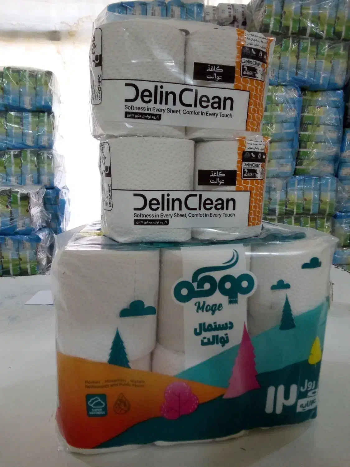 دستمال کاغذی|مواد شوینده و دستمال کاغذی|تهران, مولوی|دیوار