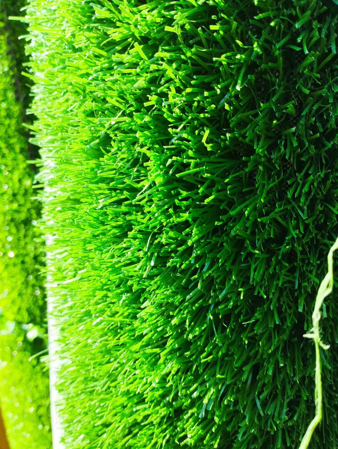 چمن مصنوعی  338000تومن فروش ویژه پاییزه|گل مصنوعی|لاهیجان, بازکیاگوراب|دیوار