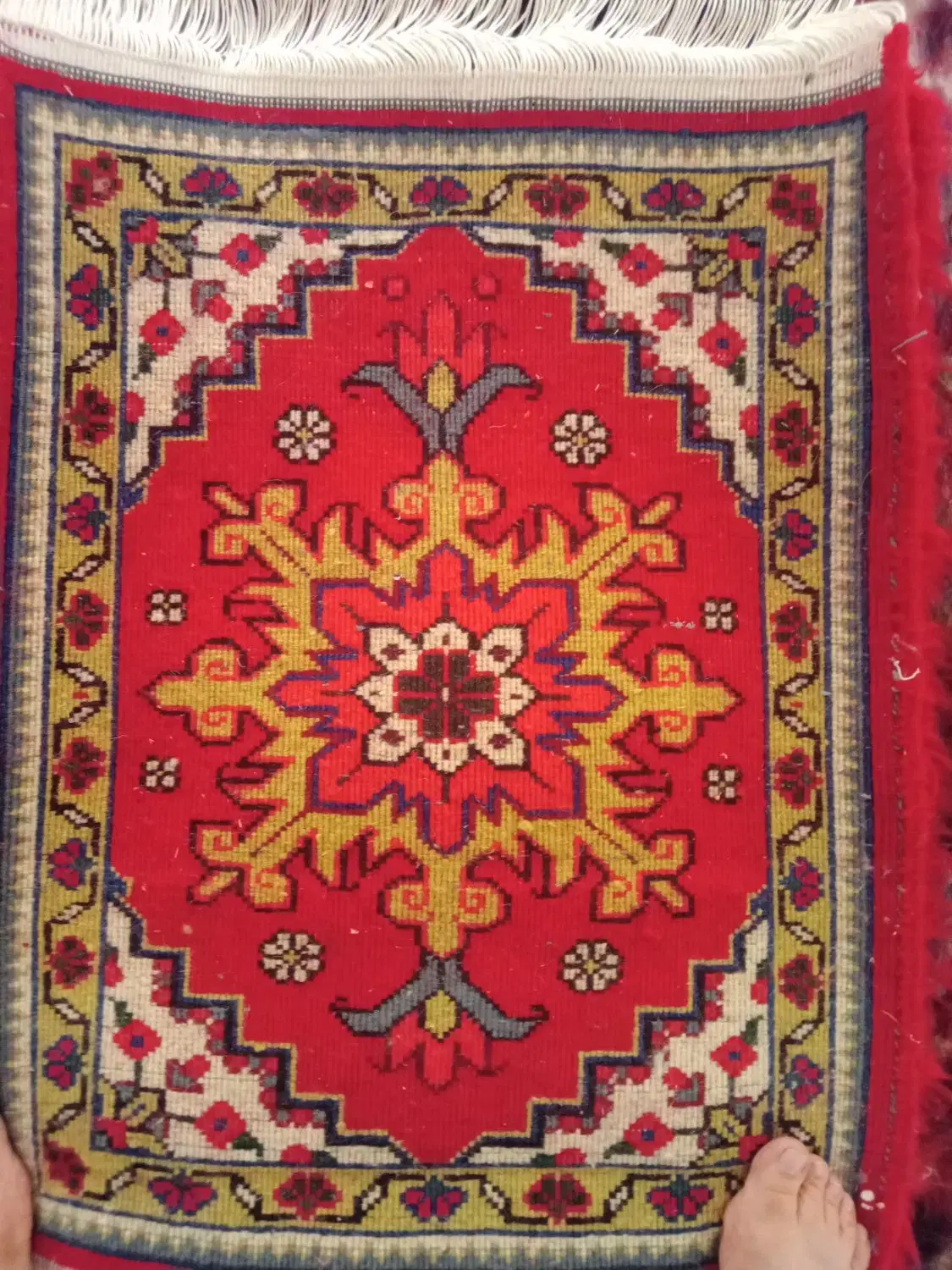 پادری|پادری|تبریز, |دیوار