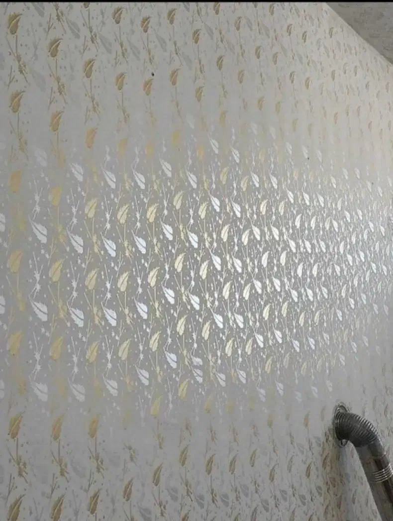 نقاشی ساختمان|خدمات پیشه و مهارت|رشت, توشیبا|دیوار