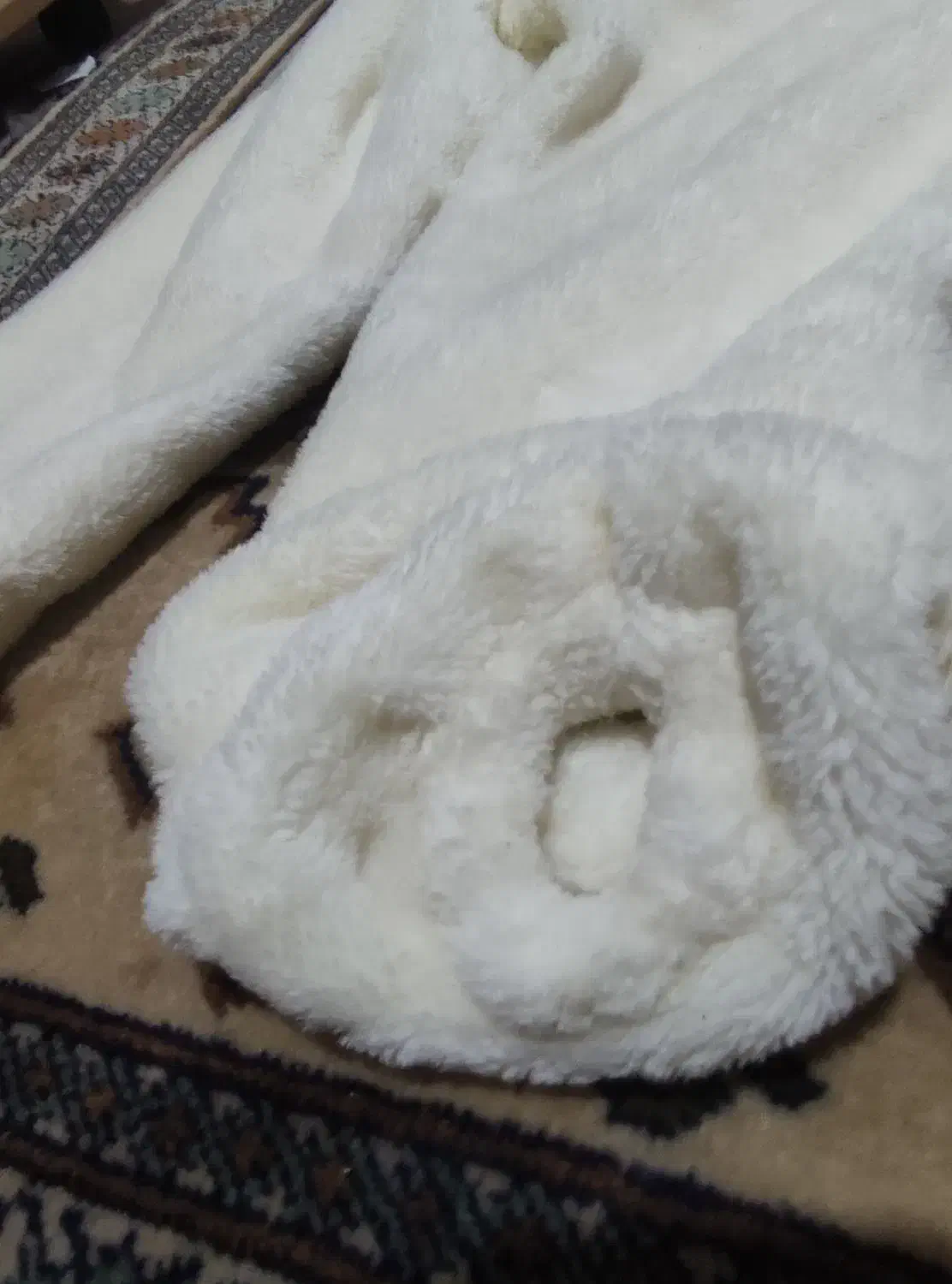 لباس شلوار پشمی اصل|لباس|تالش, هشتپر|دیوار