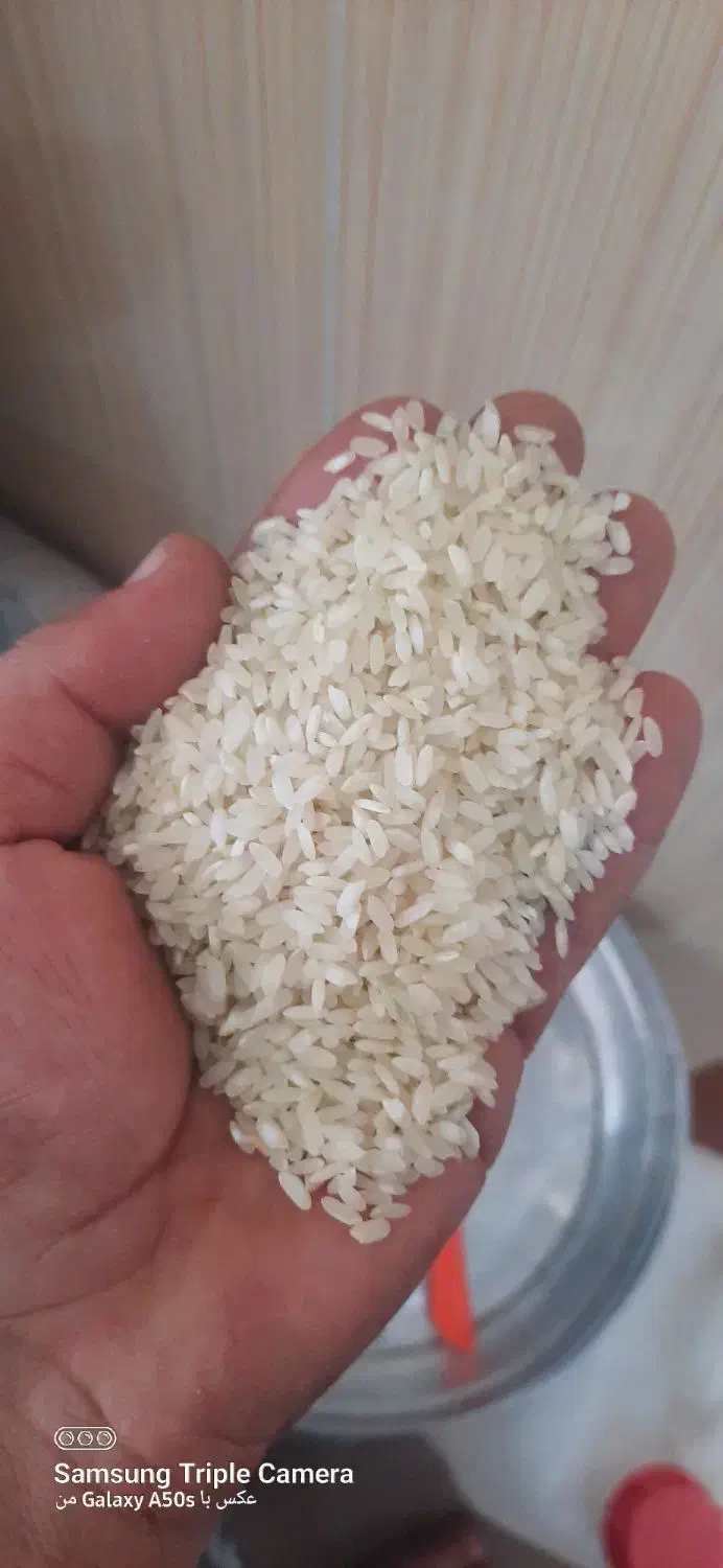 فروش برنج کامفیروزی|خوردنی و آشامیدنی|شیراز, شهرک ترکان|دیوار