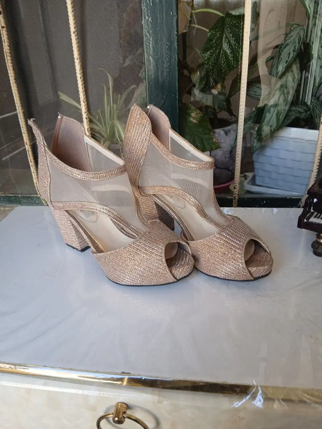 پوتین و کفش|کیف، کفش، کمربند|سقز, |دیوار