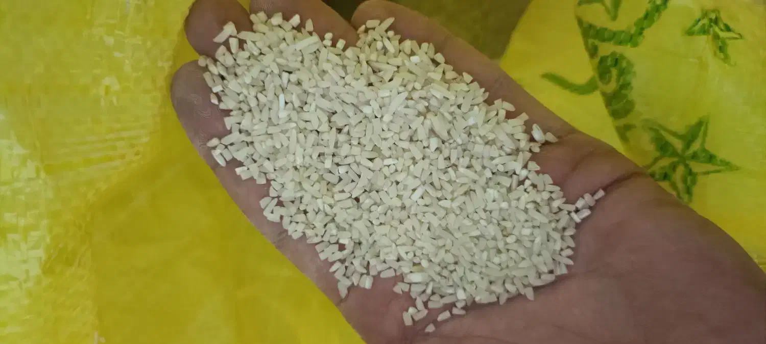 برنج طارم برنج محلی برنج مازندران|خوردنی و آشامیدنی|مشهد, ابوذر|دیوار