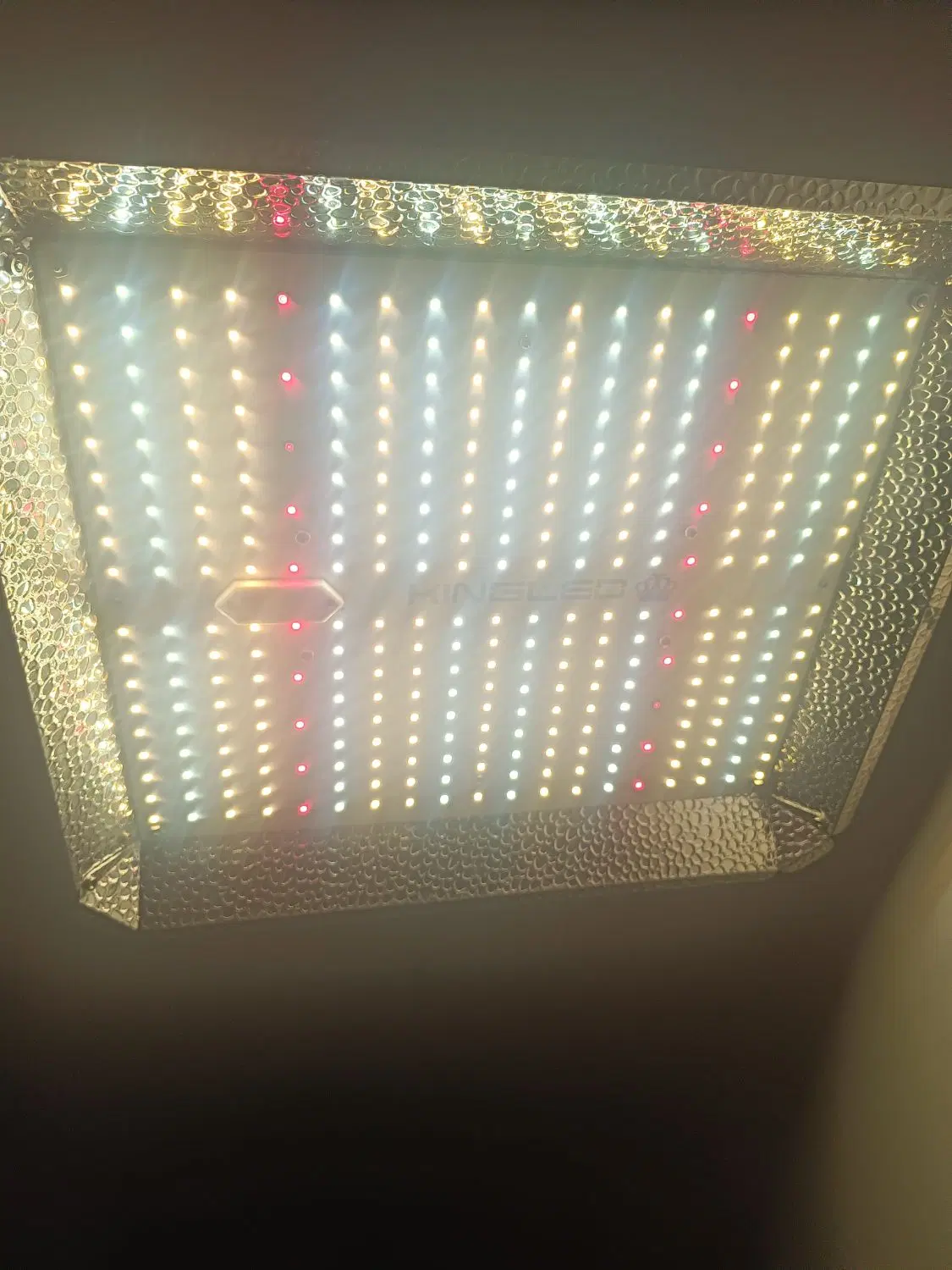 led رشد|لامپ و چراغ|کرج, اصفهانیها|دیوار