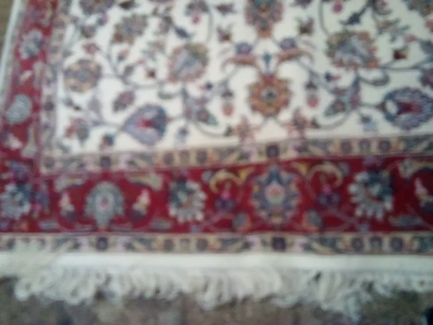 فروش قالی|فرش|کاشمر, |دیوار