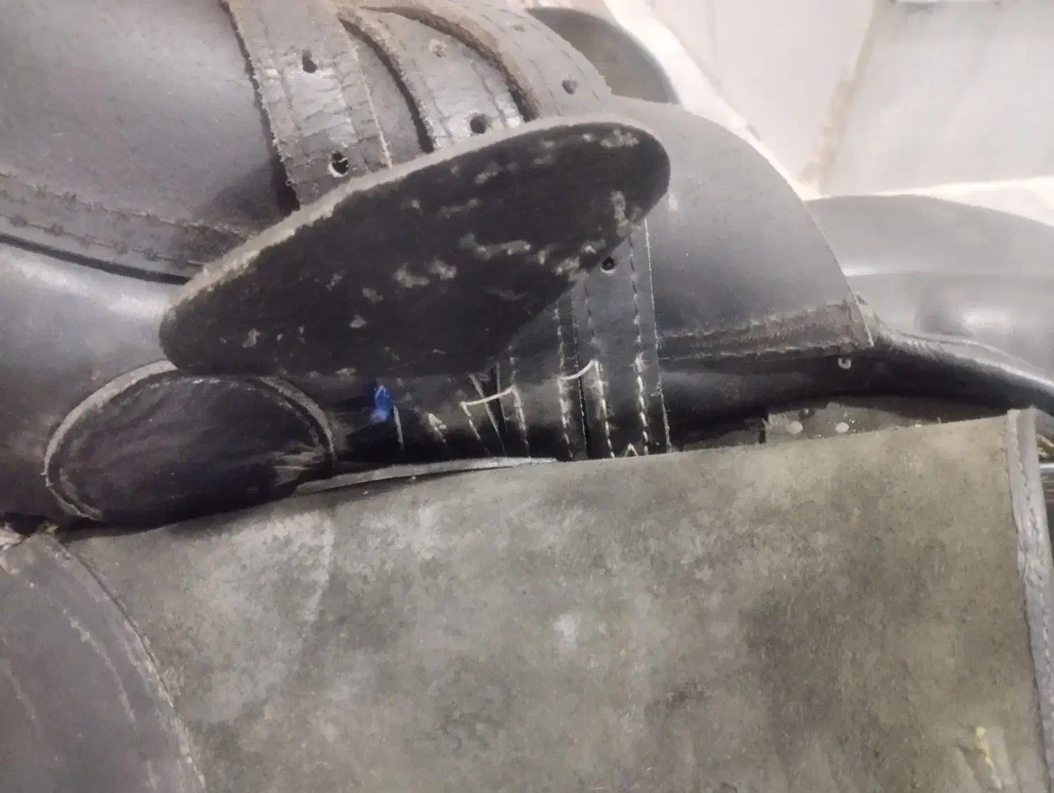 زین دهنه|اسب و تجهیزات اسبسواری|حمیدیا, |دیوار