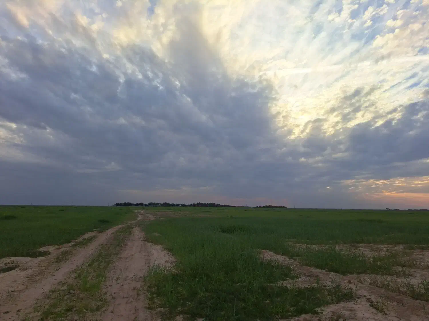 زمین کشاورزی دیم|اجارهٔ دفتر صنعتی، کشاورزی، تجاری|بندر ماهشهر, |دیوار