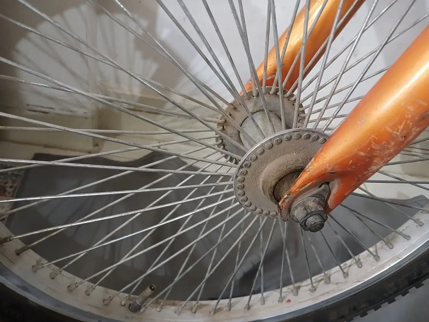 دوچرخه پوما سایز ۲۰|دوچرخه، اسکیت، اسکوتر|مشهد, امیریه|دیوار