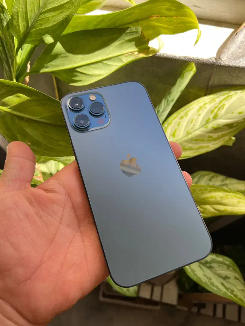 ایفون ۱۲ پرو مکس Z/AA دو سیم|موبایل|شیراز, شهرک گلستان|دیوار