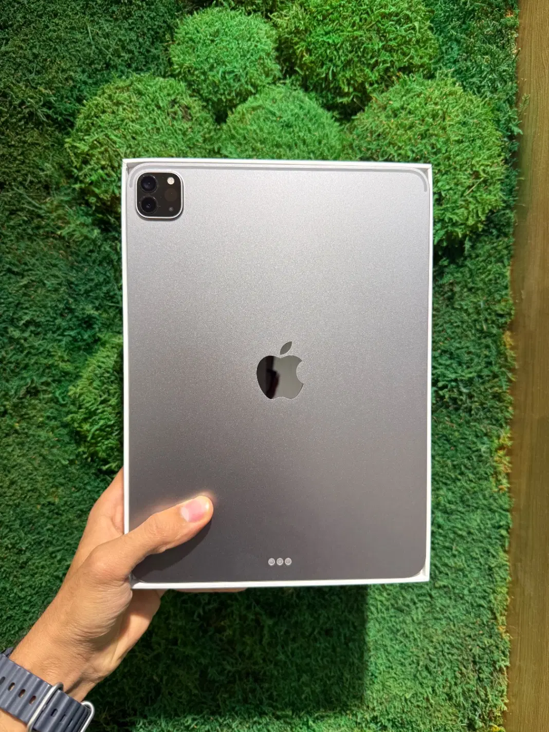 Ipad pro 2022 +pen|تبلت|کرمان, |دیوار
