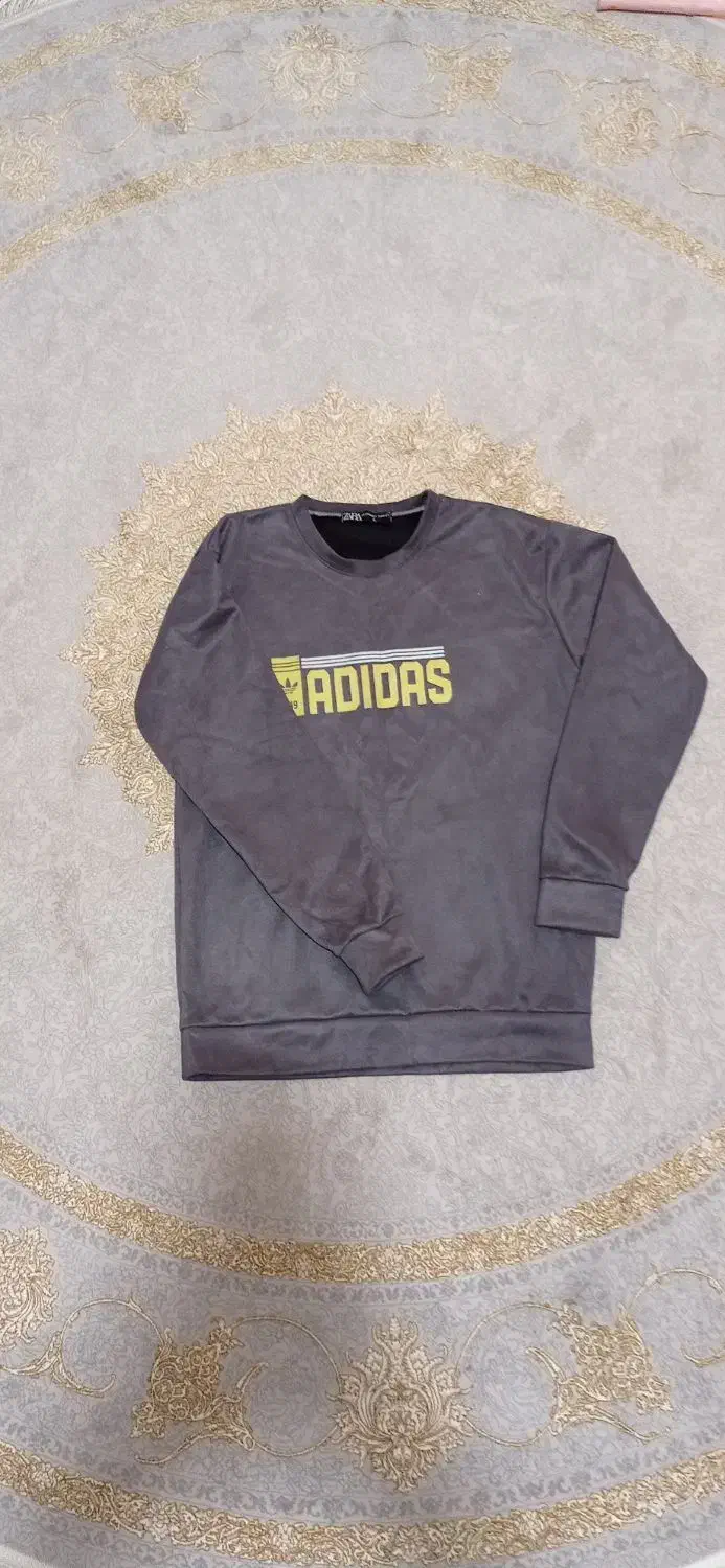 هودی|لباس|حمیدیا, |دیوار