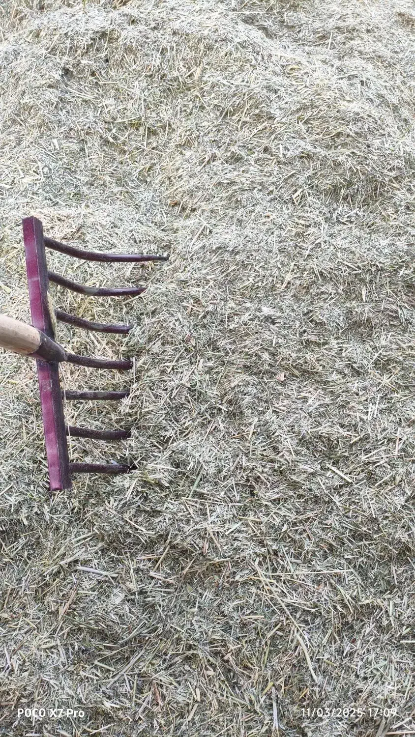 علف جار درجه یک|لوازم جانبی حیوانات|موچش, |دیوار