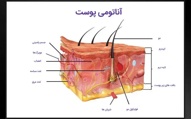 آموزش و استخدام تخصصی کیوسوییچ  اولین بار میاندواب|استخدام درمانی، زیبایی، بهداشتی|میاندوآب, |دیوار