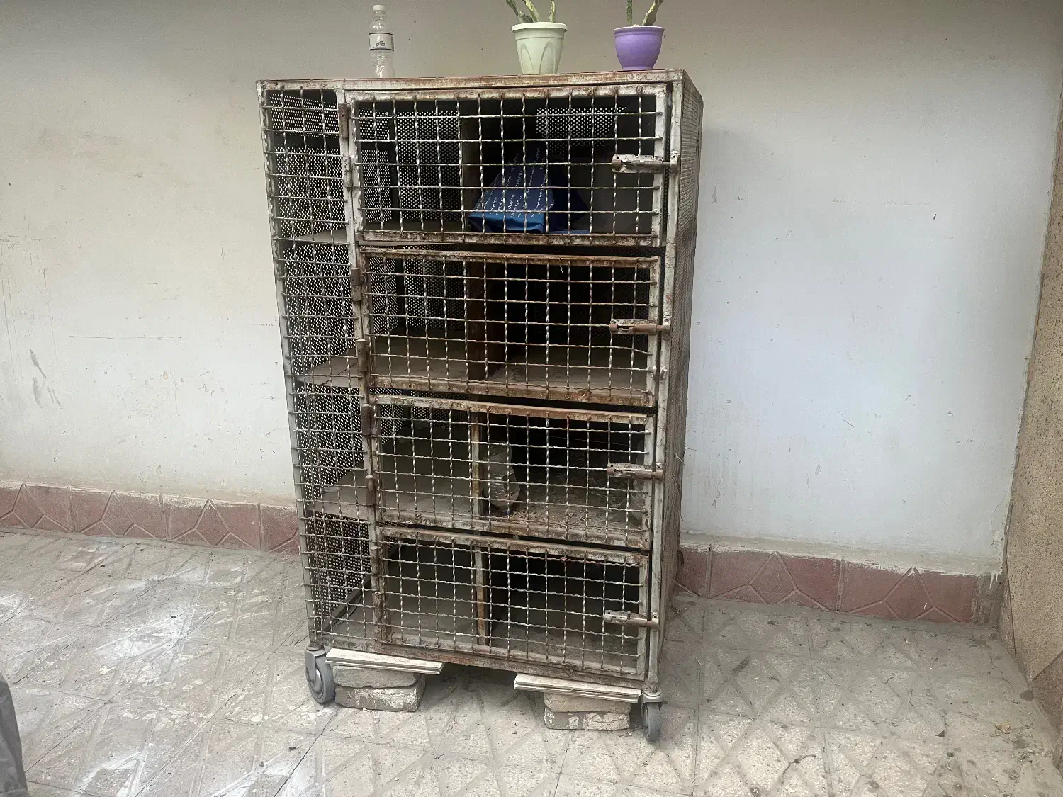 جفت کن آهنی درجه یک|لوازم جانبی حیوانات|تهران, فلسطین (میدان انقلاب)|دیوار