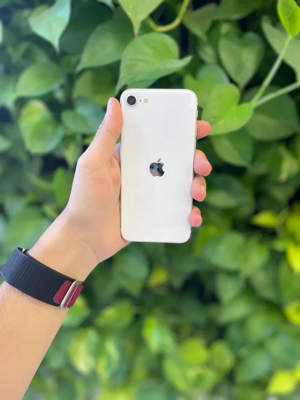 اپل iPhone 12 ، ی خش روی گوشی پیدا نمیکنی|موبایل|نجف‌آباد, بازار|دیوار