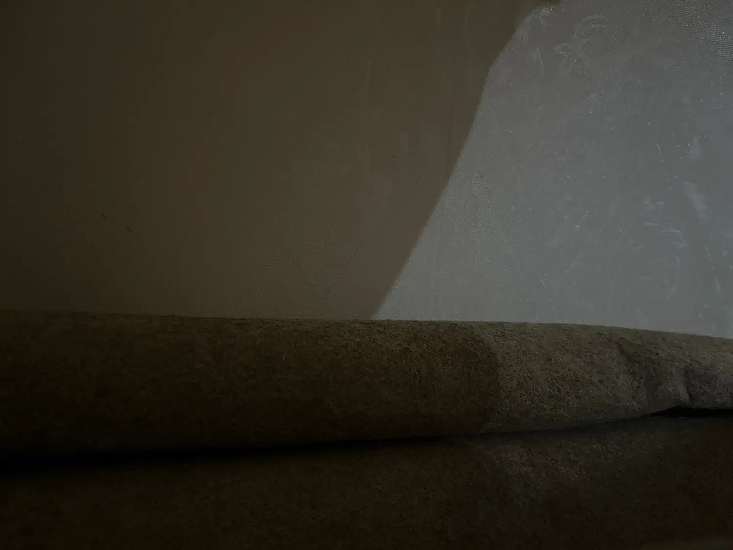 موک|موکت|چمران, |دیوار