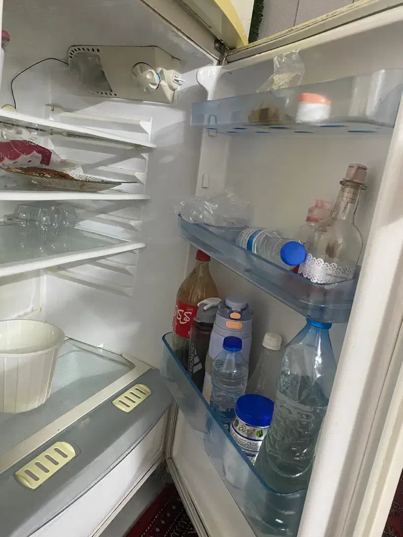 یخچال فیلور سالم سالم|یخچال و فریزر|گنبد کاووس, |دیوار