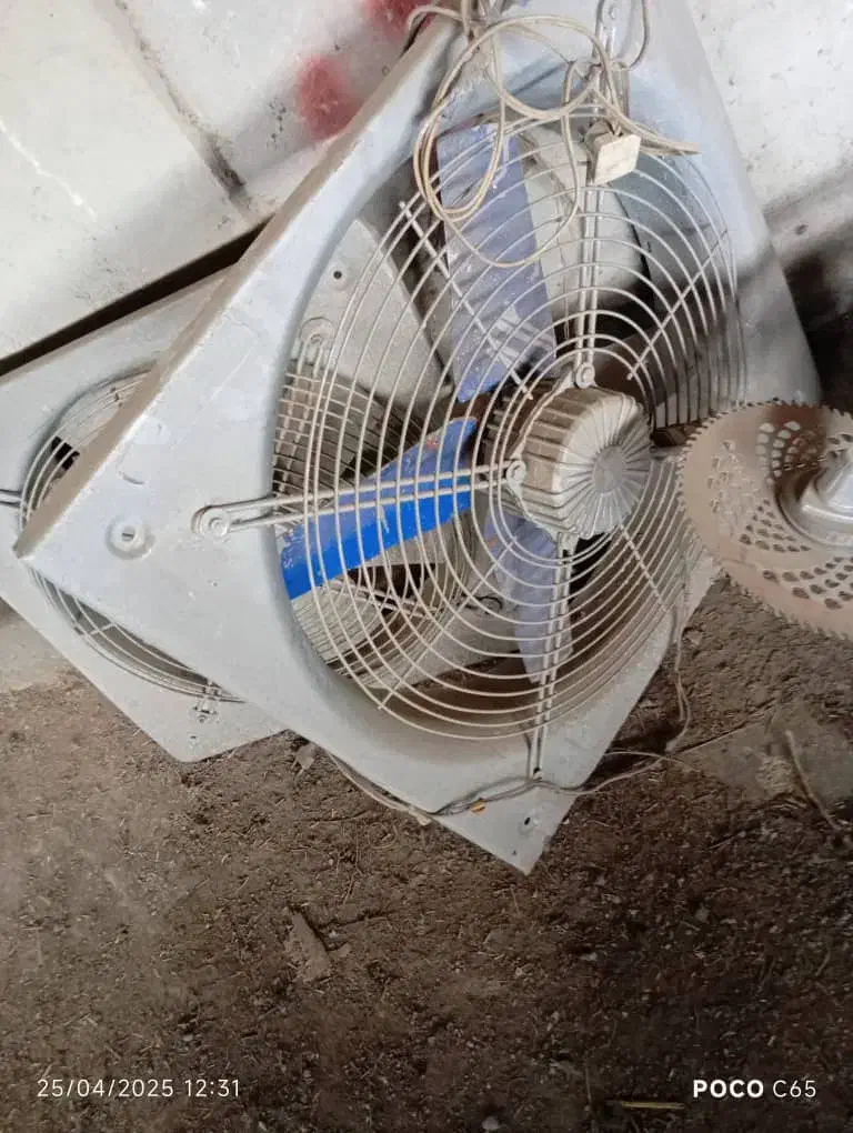 هوا کش|پنکه و تصفیهکنندهٔ هوا|اهواز, کوی آغاجاری|دیوار