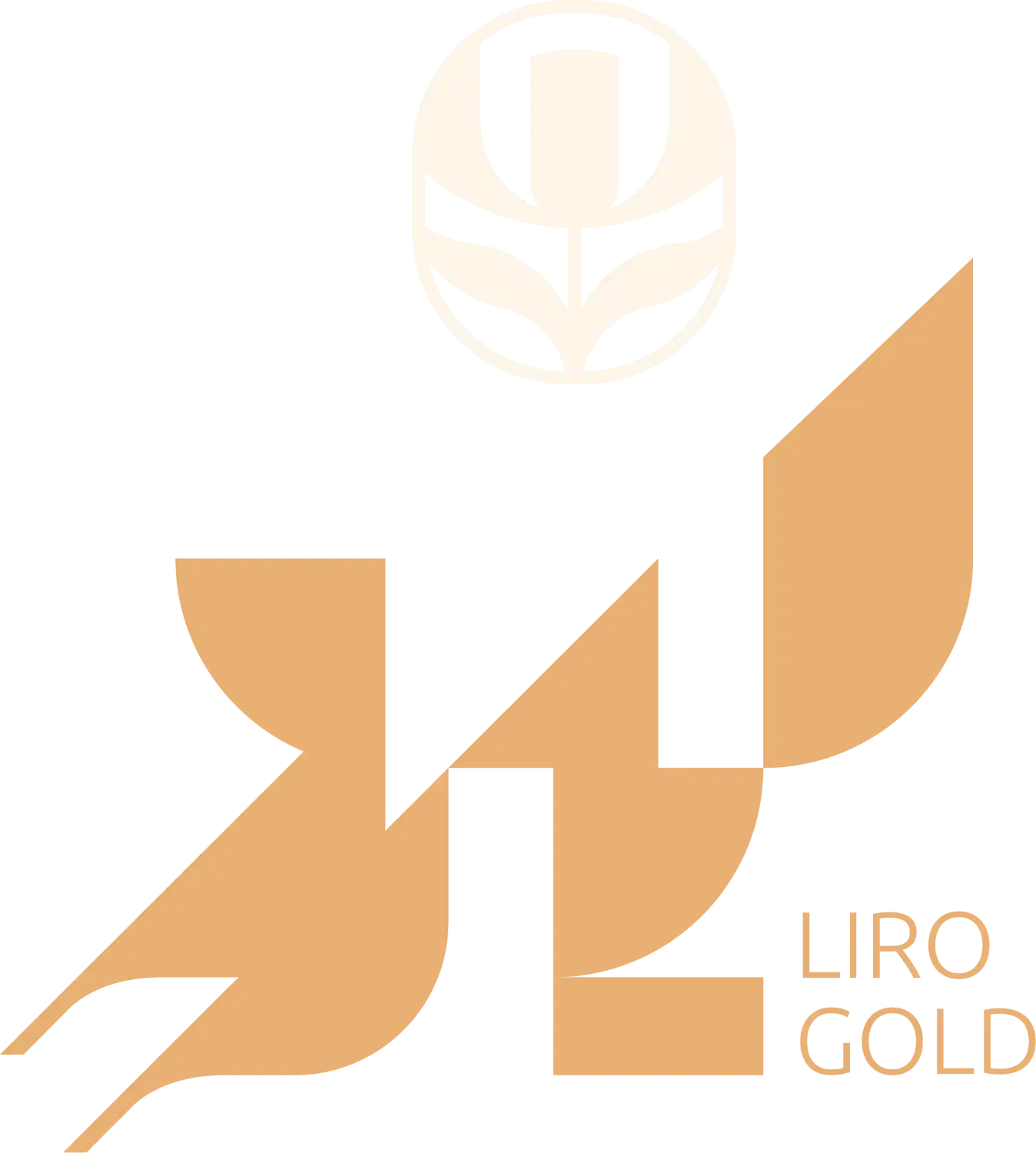 جذب کارشناس فروش و فروشنده در گالری طلا لیرو|استخدام بازاریابی و فروش|رشت, بازار|دیوار