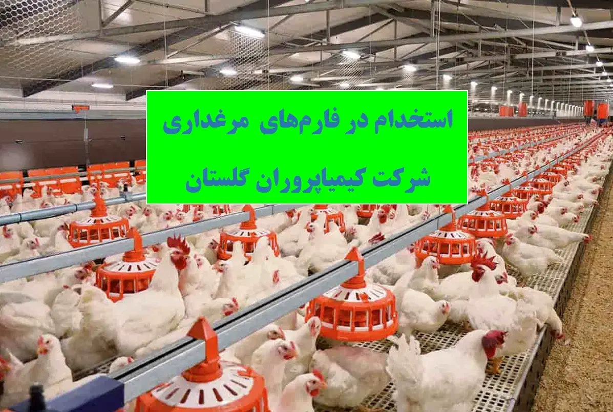 استخدام سرشیفت و سالندار مرغداری در شرکت کیمیاپرور|استخدام صنعتی، فنی، مهندسی|سیمین شهر, |دیوار