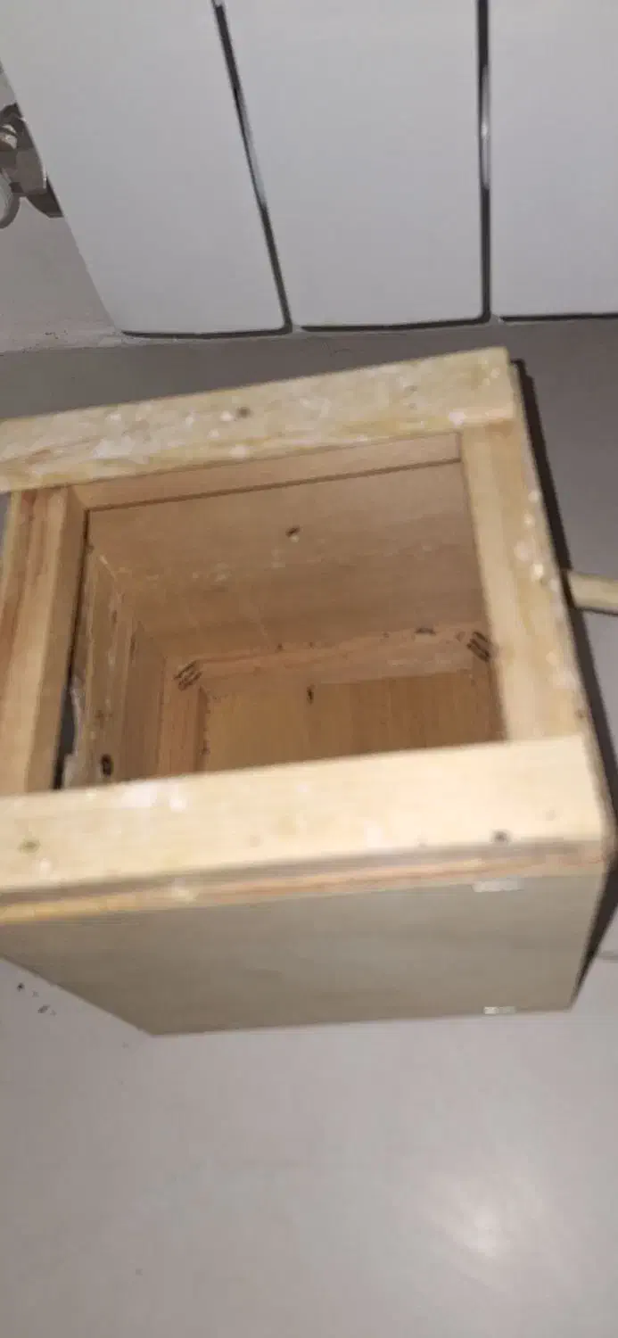 لانه پرنده|لوازم جانبی حیوانات|قائمشهر, |دیوار