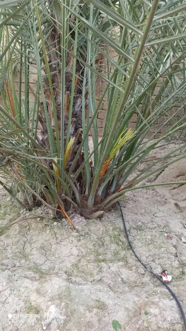 فروش خانه ویلایی ۸۰ متری ۱ خوابه|فروش خانه و ویلا|آبپخش, |دیوار