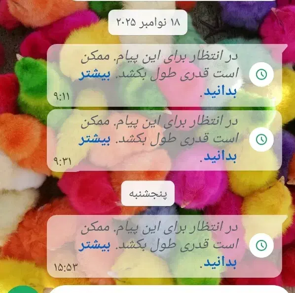 راهنمایی واتساپ|فعالیت داوطلبانه تحقیقاتی|شیراز, محمدیه|دیوار