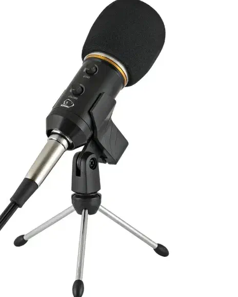 میکرفون bm800p|آلات موسیقی|رامهرمز, |دیوار