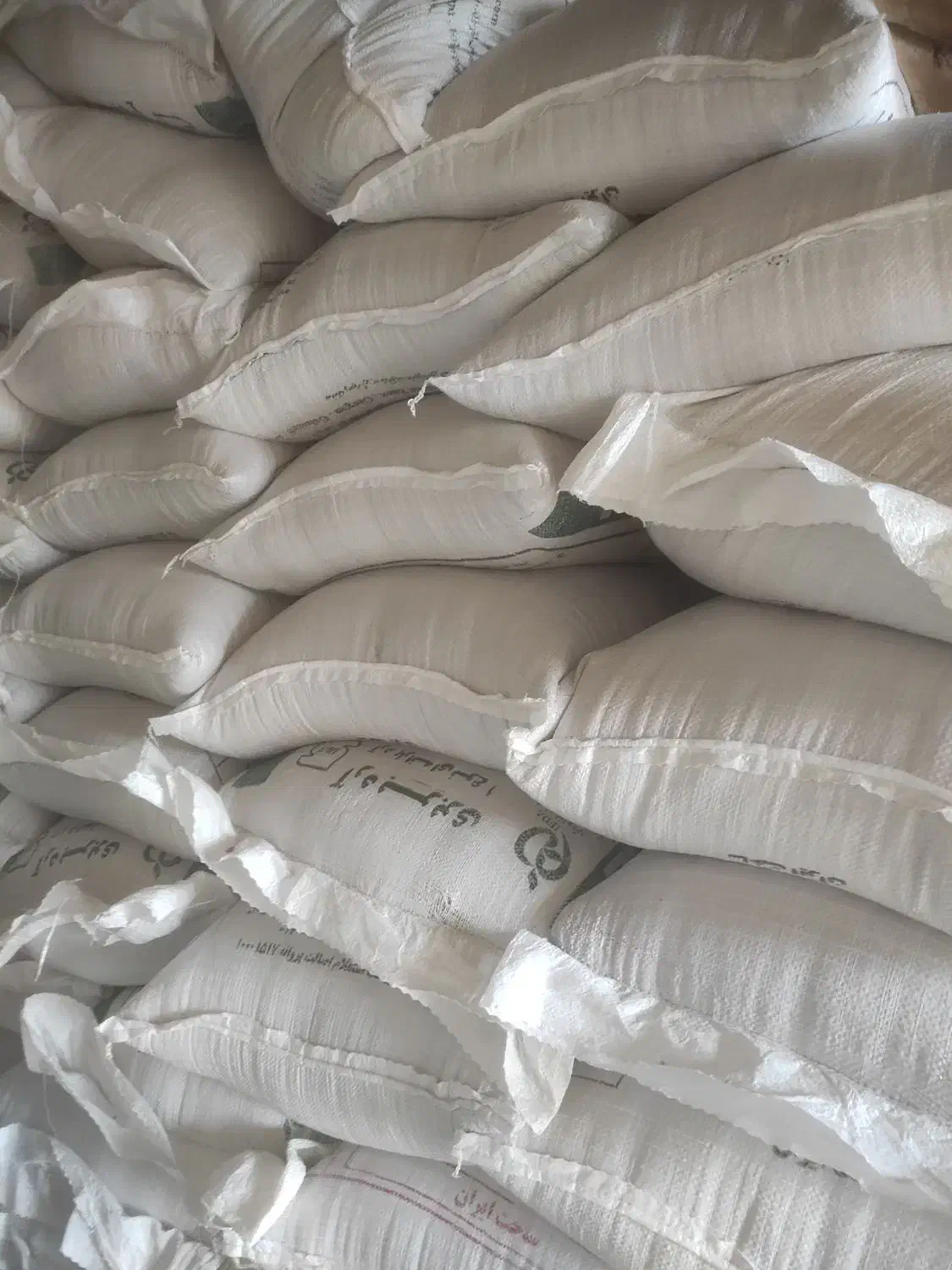 گندم بذری|خدمات باغبانی و درختکاری|آق قلا, |دیوار