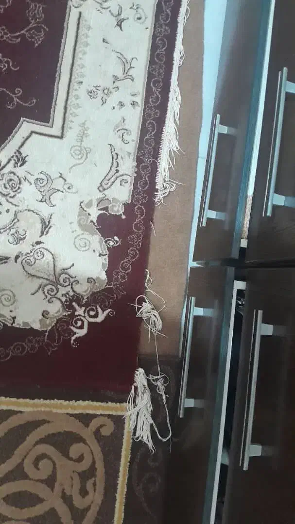 فرش 700 شانه|فرش|شاهین‌شهر, خانه کارگر|دیوار