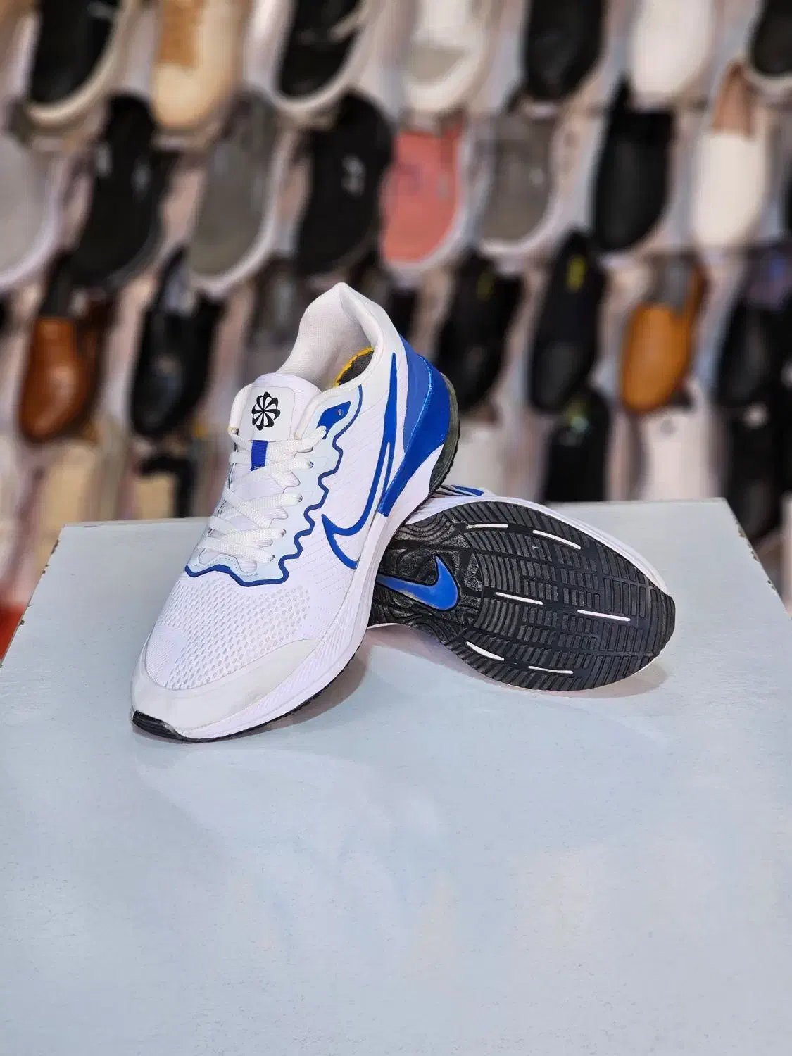 انواع کفش تک سایز مردانه|کیف، کفش، کمربند|اصفهان, تخت فولاد|دیوار