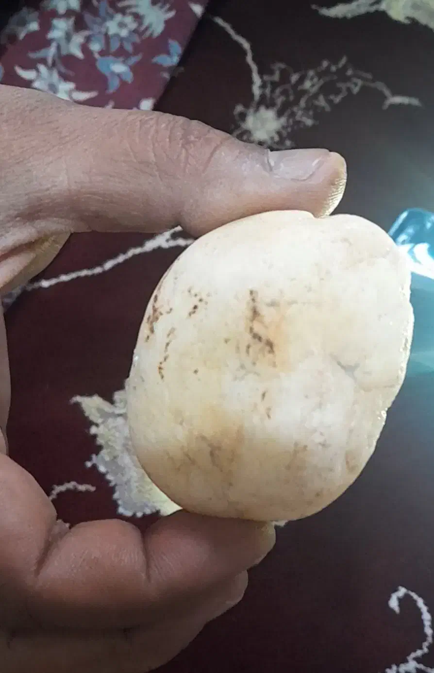 سنگ قیمتی|کلکسیون اشیاء عتیقه|مرودشت, ثبت احوال|دیوار