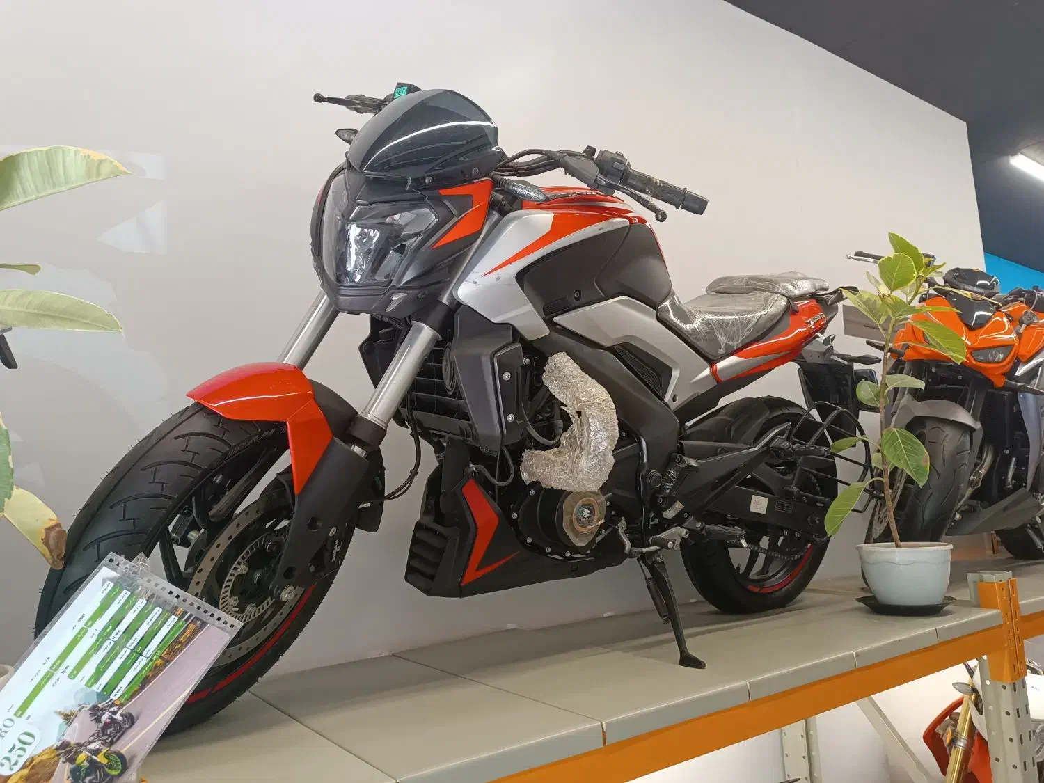 دومینار ۲۵۰باجاج ان اسNS250(ماهان سیکلت)|موتورسیکلت|مشهد, دانشجو|دیوار